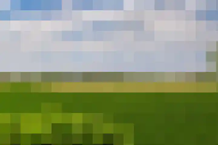 Molendijk 90 Klaaswaal thumbnail 57