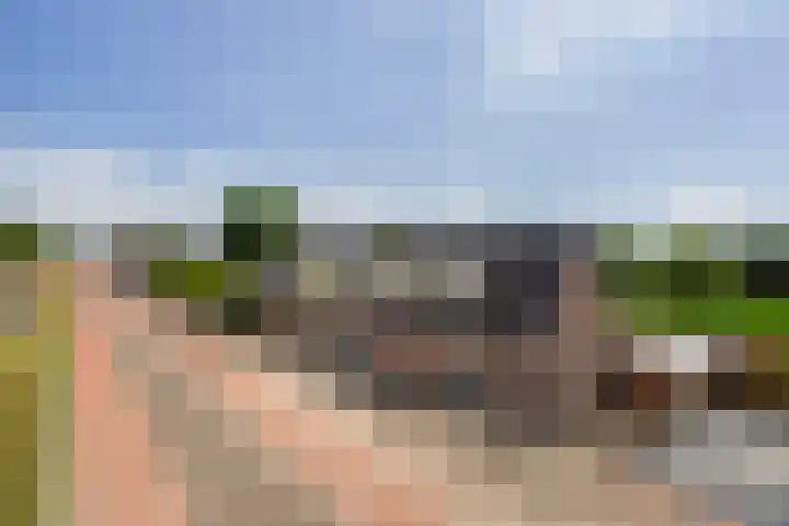 Molendijk 90 Klaaswaal thumbnail 64