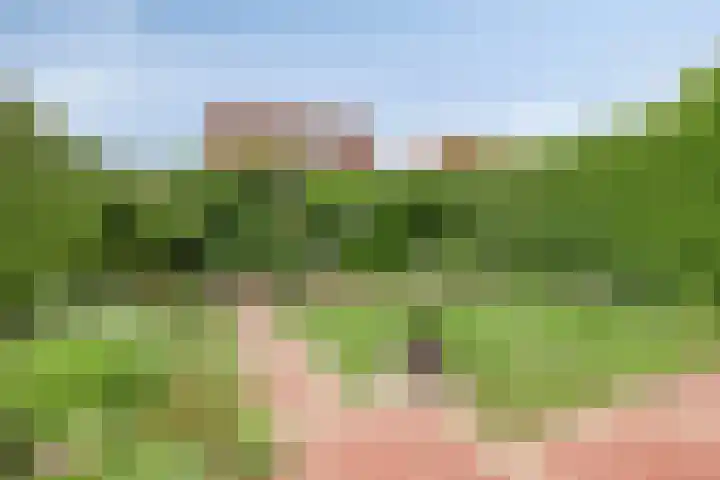 Molendreef 7 Hoek thumbnail 22