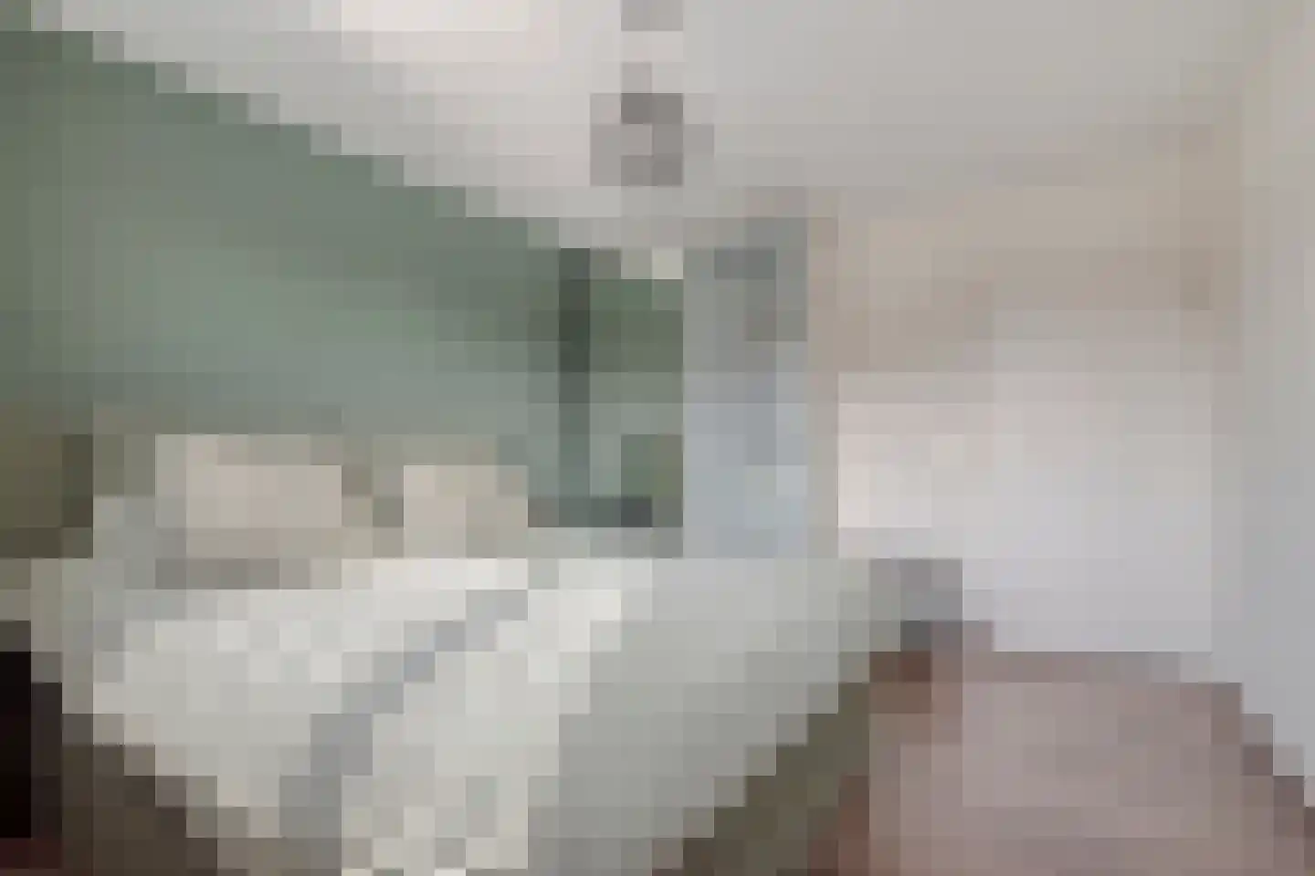 Moleneind 100 Prinsenbeek thumbnail 18