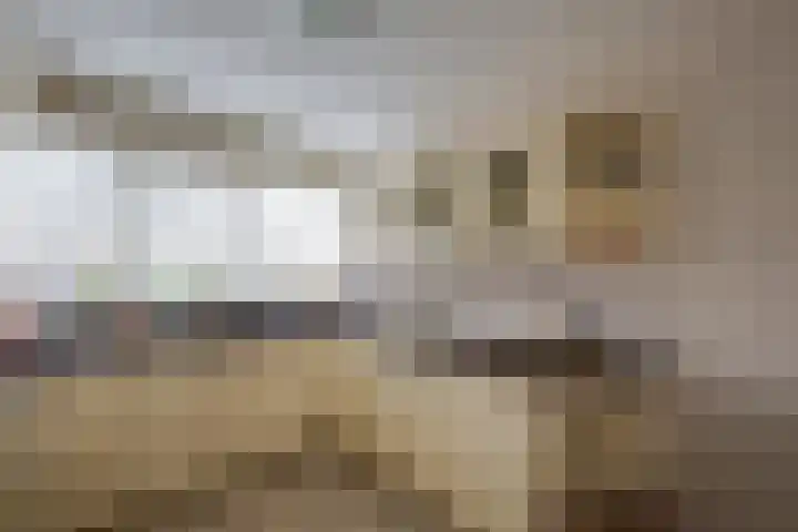 Moleneind 128 Prinsenbeek thumbnail 18