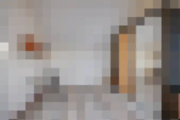 Moleneind 128 Prinsenbeek thumbnail 31