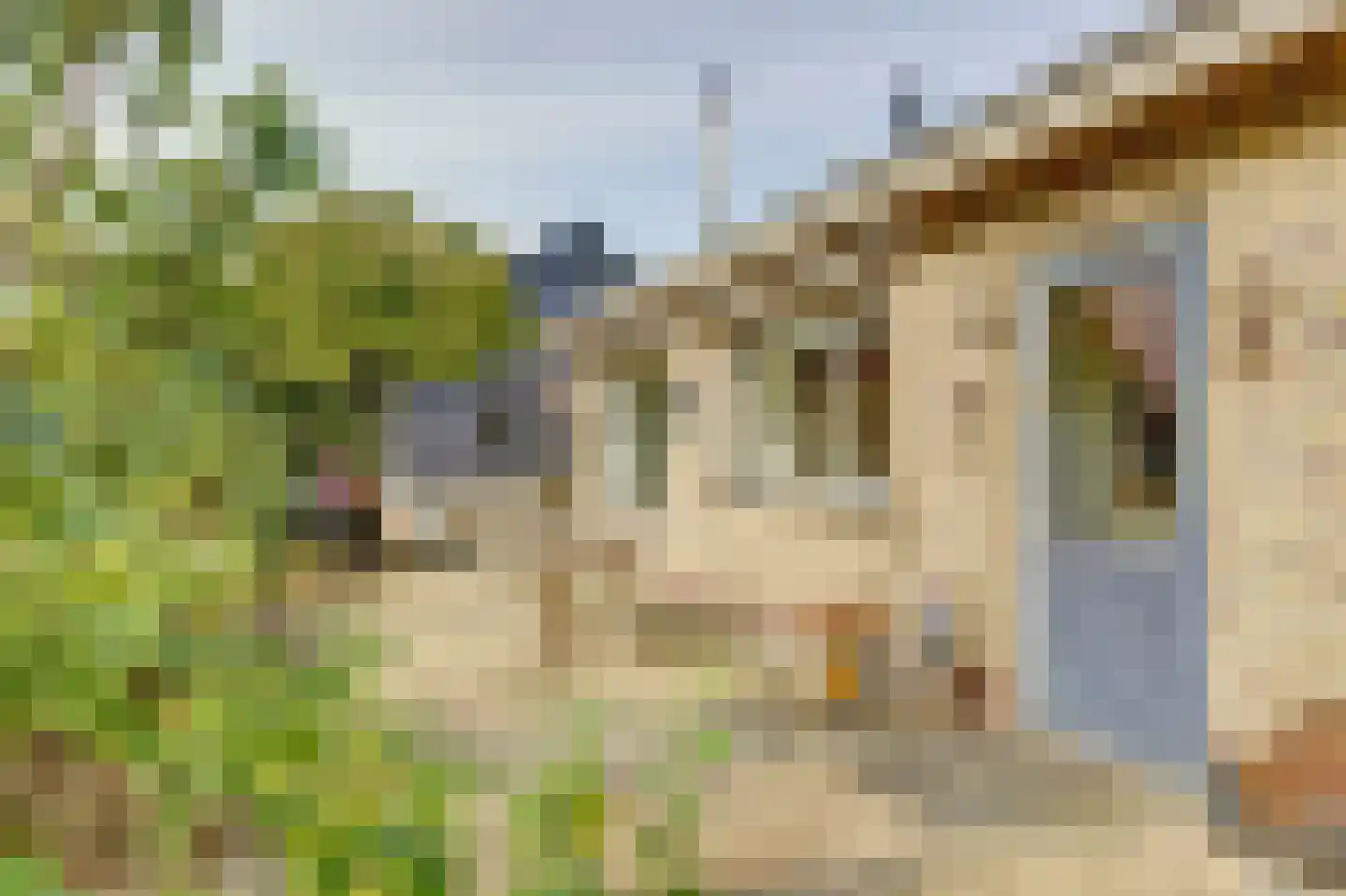 Moleneind 2 Alem thumbnail 12
