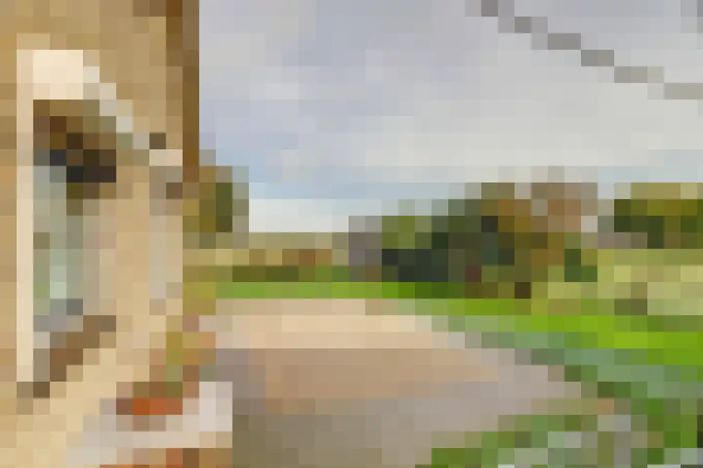 Moleneind 2 Alem thumbnail 13