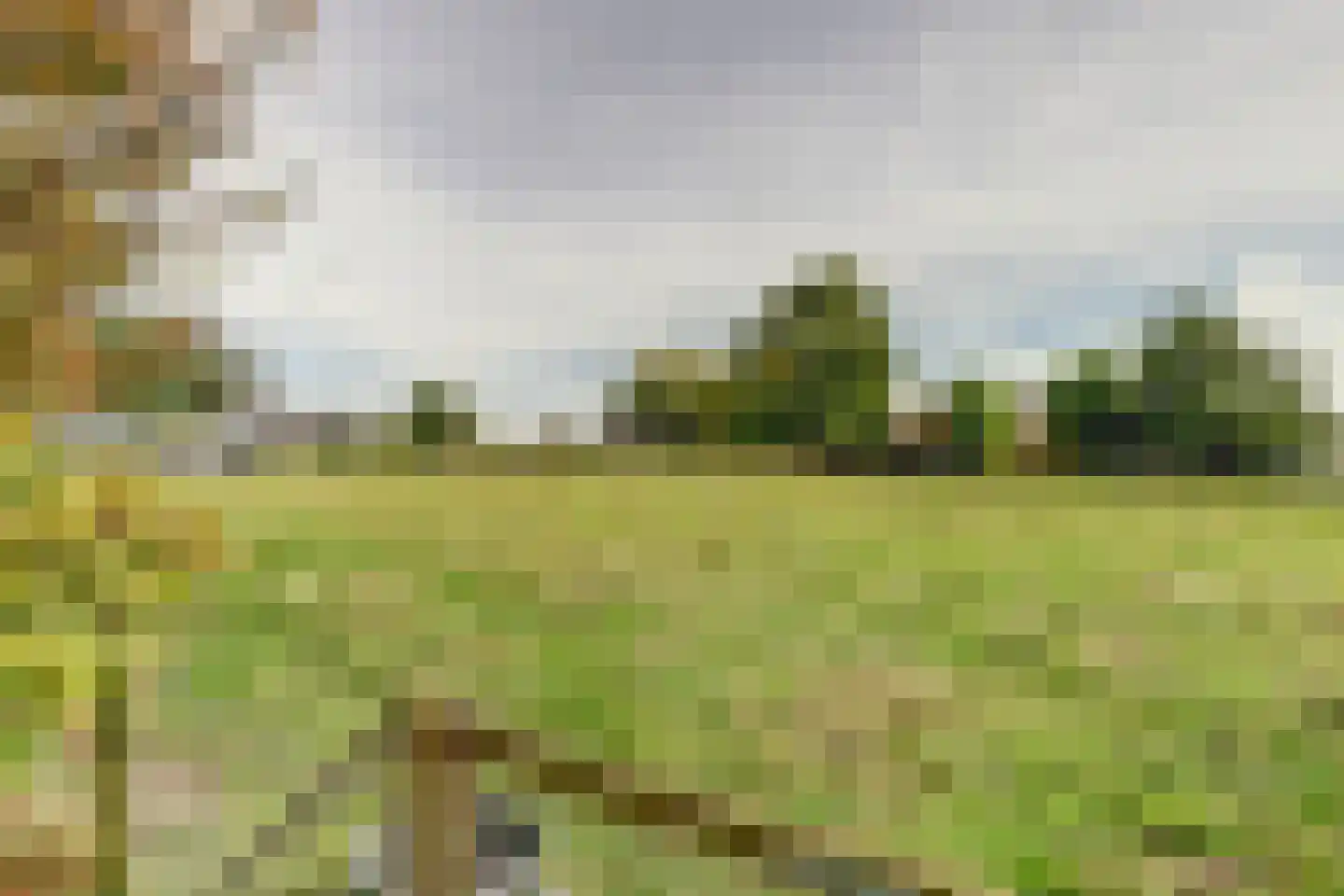 Moleneind 2 Alem thumbnail 30