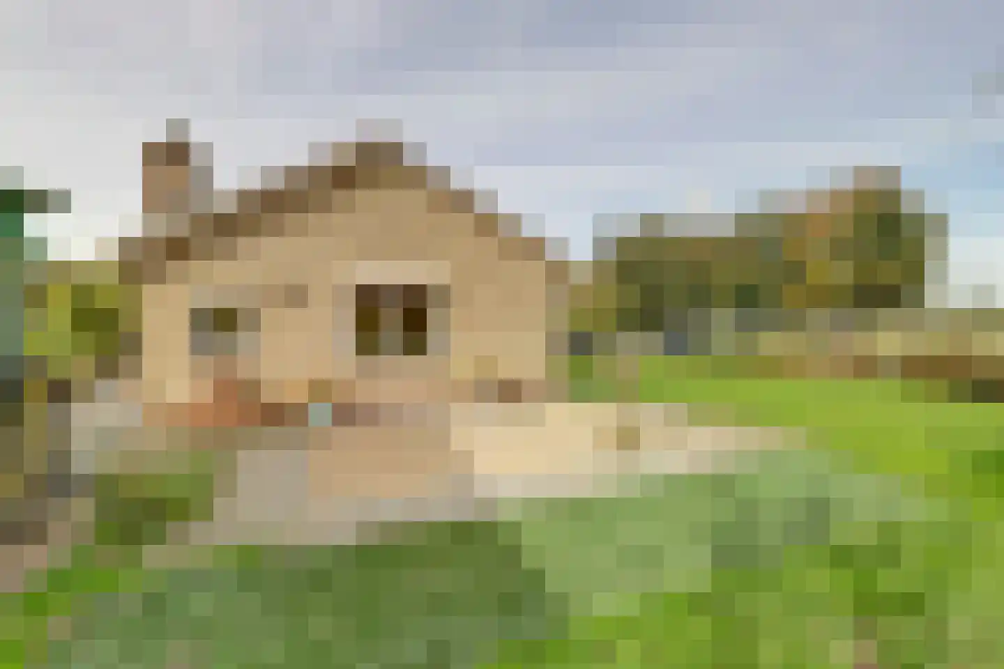 Moleneind 2 Alem thumbnail 31