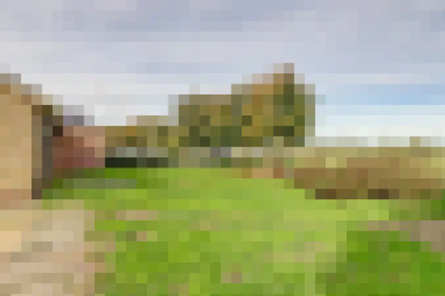 Moleneind 2 Alem thumbnail 32