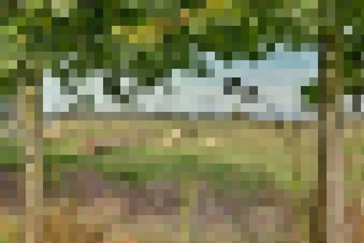 Moleneind 2 Alem thumbnail 33
