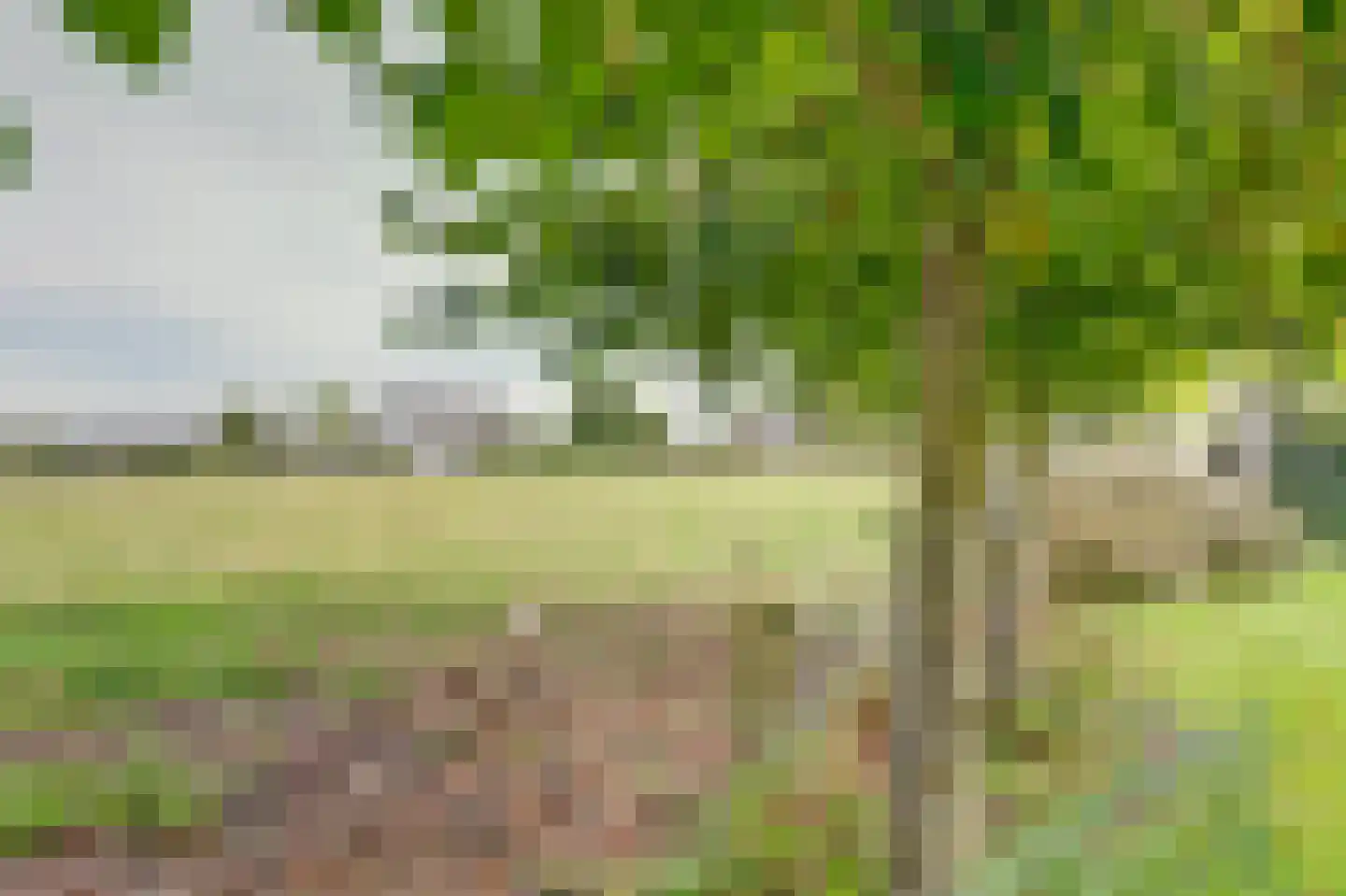 Moleneind 2 Alem thumbnail 34