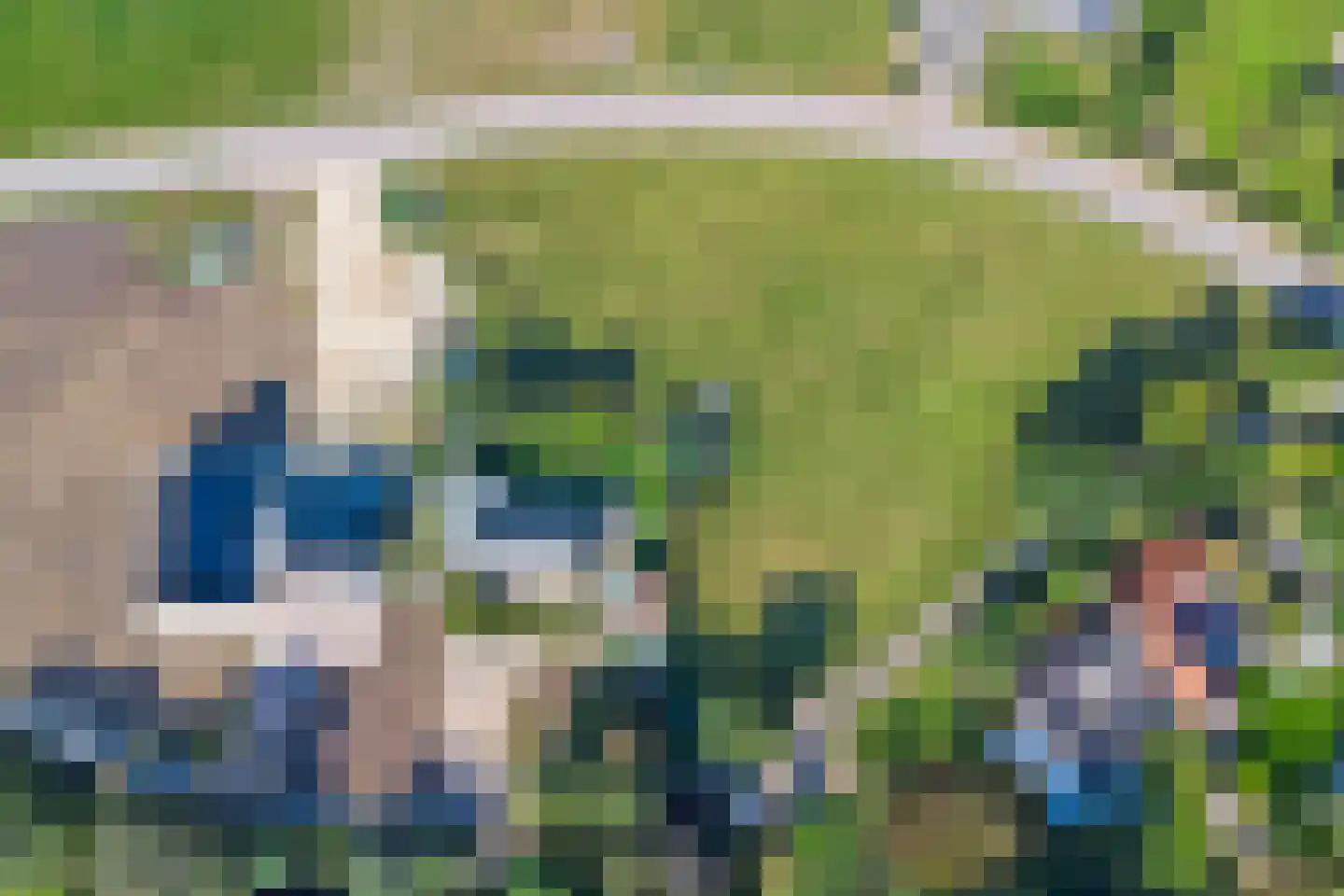 Moleneind 2 Alem thumbnail 5
