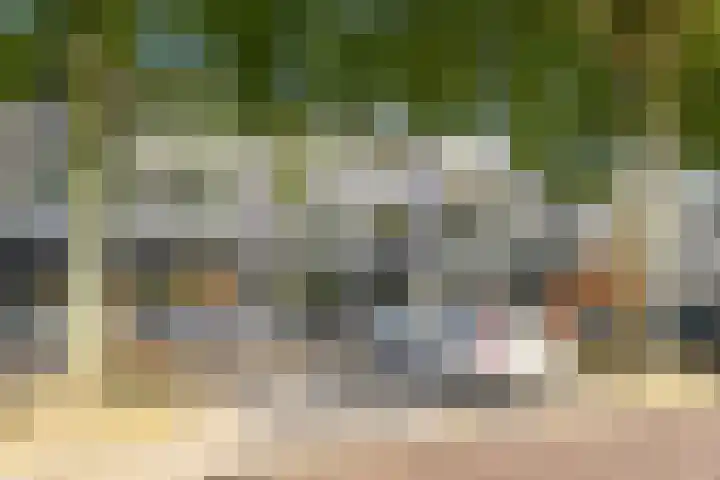 Moleneindplein 36 Vught thumbnail 27