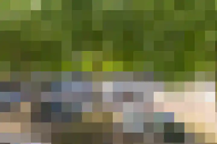 Moleneindplein 36 Vught thumbnail 5