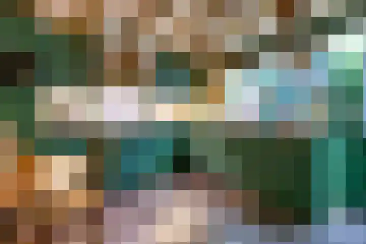 Moleneindsestraat 8 Hoeven thumbnail 13