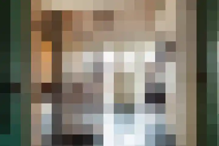 Moleneindsestraat 8 Hoeven thumbnail 18