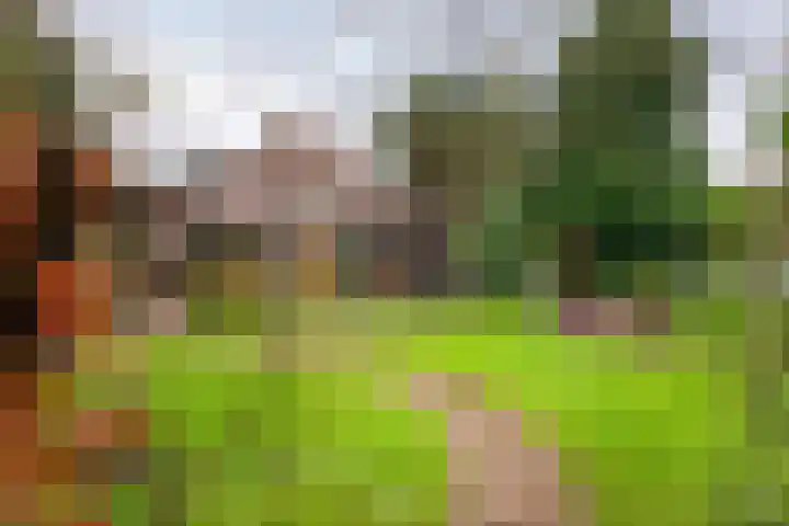 Moleneindsestraat 8 Hoeven thumbnail 31