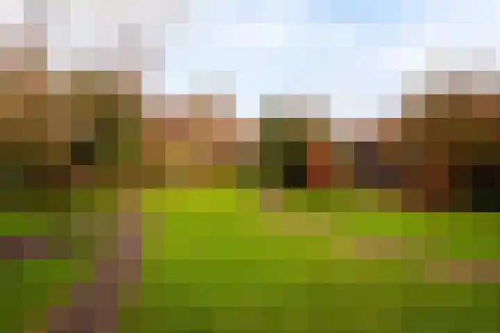 Moleneindsestraat 8 Hoeven thumbnail 32