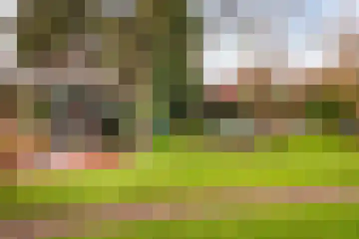 Moleneindsestraat 8 Hoeven thumbnail 34