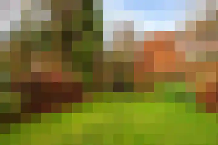 Moleneindsestraat 8 Hoeven thumbnail 36