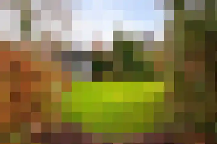 Moleneindsestraat 8 Hoeven thumbnail 37