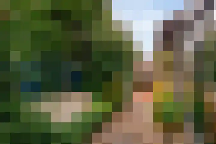 Moleneindsestraat 8 Hoeven thumbnail 38
