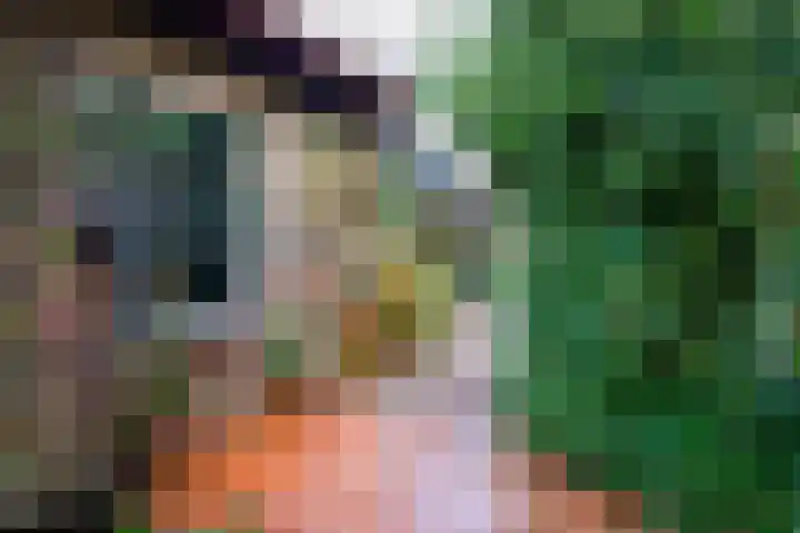 Moleneindsestraat 8 Hoeven thumbnail 41