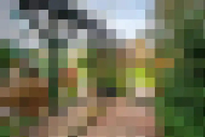 Moleneindsestraat 8 Hoeven thumbnail 42