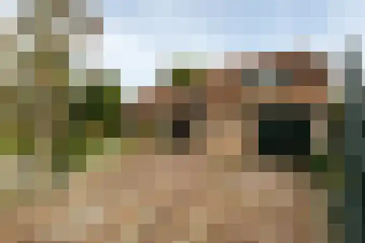 Moleneindsestraat 8 Hoeven thumbnail 43