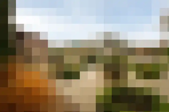 Moleneindsestraat 8 Hoeven thumbnail 46