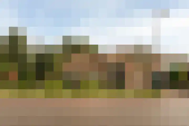Moleneindsestraat 8 Hoeven thumbnail 47