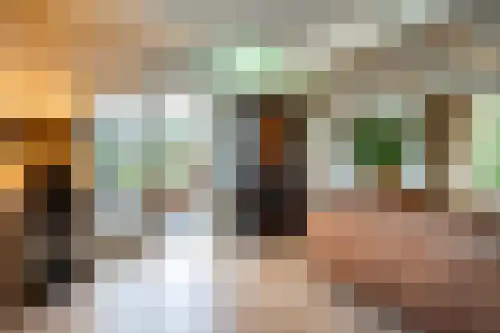 Moleneindsestraat 8 Hoeven thumbnail 6