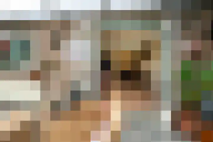 Moleneindsestraat 8 Hoeven thumbnail 9
