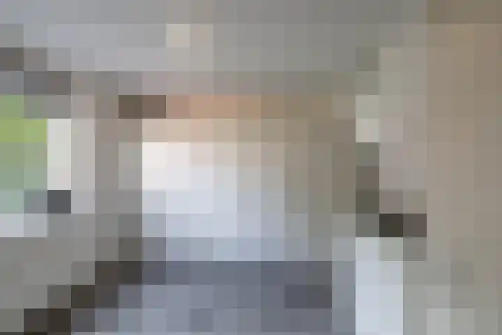Molenerf 13 Harkstede thumbnail 16