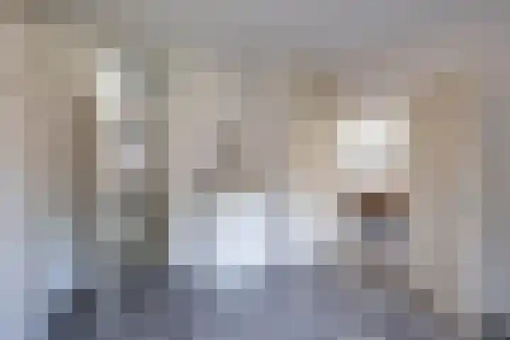 Molenerf 13 Harkstede thumbnail 17