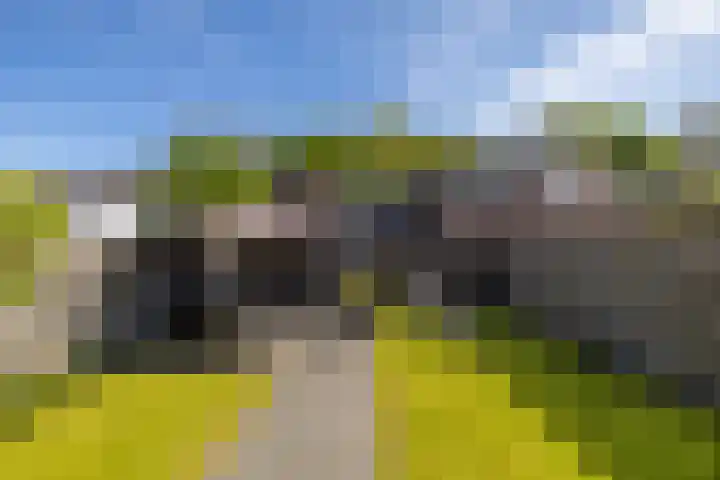 Molenerf 13 Harkstede thumbnail 24
