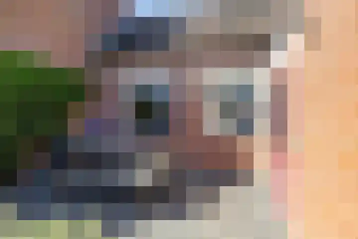 Molenerf 13 Harkstede thumbnail 28