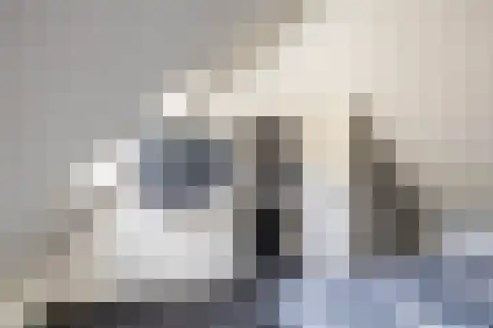 Molenerf 13 Harkstede thumbnail 34