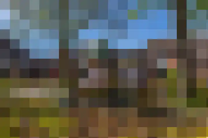Molenerf 13 Harkstede thumbnail 38