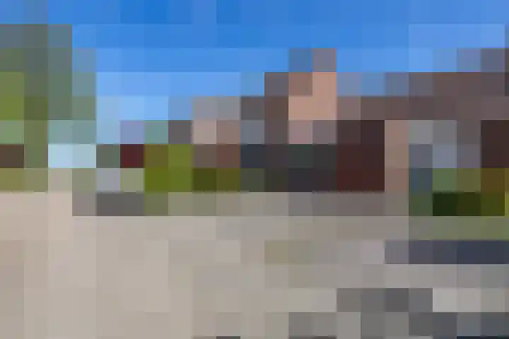 Molenerf 13 Harkstede thumbnail 5