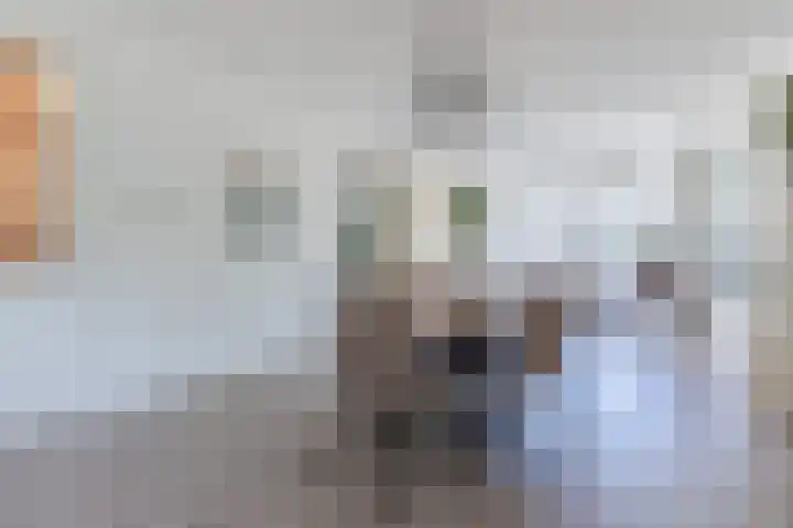 Molenerf 2 Nistelrode thumbnail 15