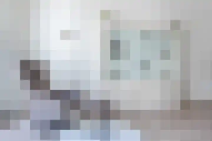 Molenerf 2 Nistelrode thumbnail 16