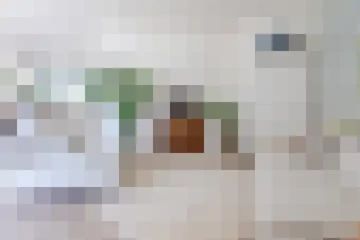 Molenerf 2 Nistelrode thumbnail 17