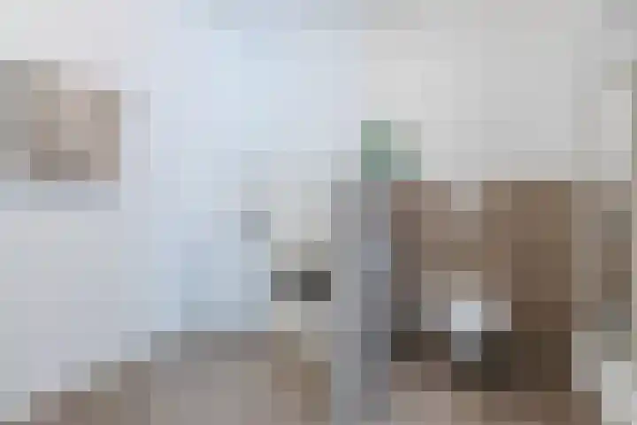 Molenerf 2 Nistelrode thumbnail 27