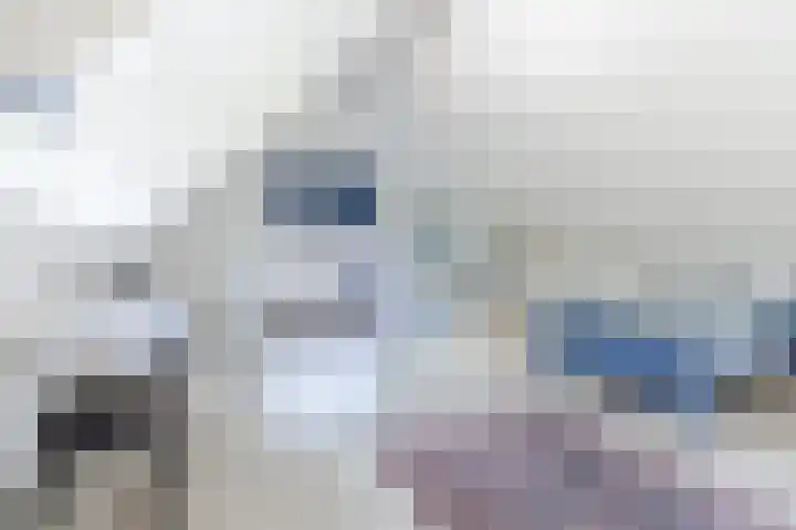 Molenerf 2 Nistelrode thumbnail 32