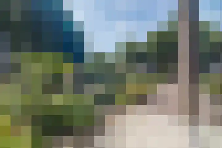 Molenerf 2 Nistelrode thumbnail 36