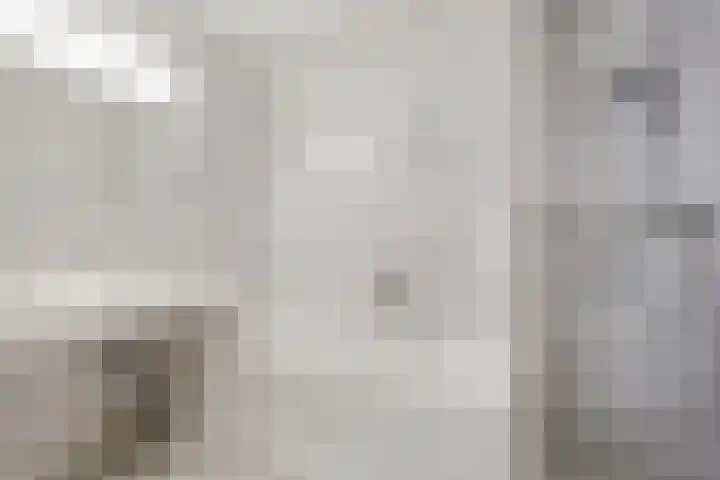 Molenerf 2 Ommen thumbnail 23