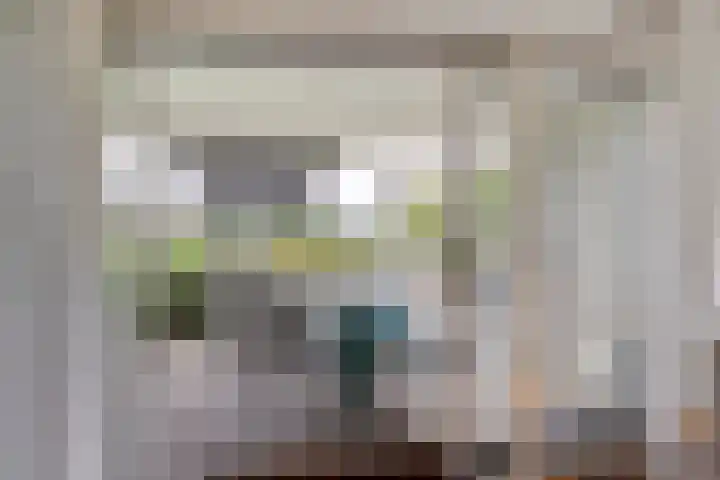 Molenerf 2 Ommen thumbnail 37