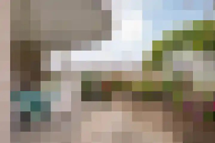 Molenerf 2 Ommen thumbnail 38