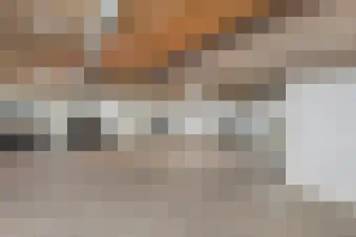 Molenerf 2 Ommen thumbnail 43