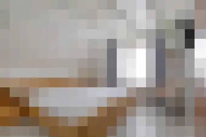 Molengaarde 66 Doesburg thumbnail 4