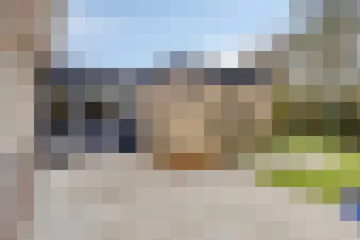 Molengaarde 66 Doesburg thumbnail 46